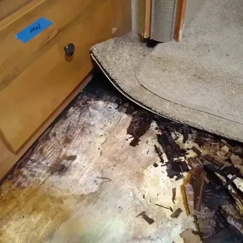 Wood Floor Water Damage in Marlton, NJ